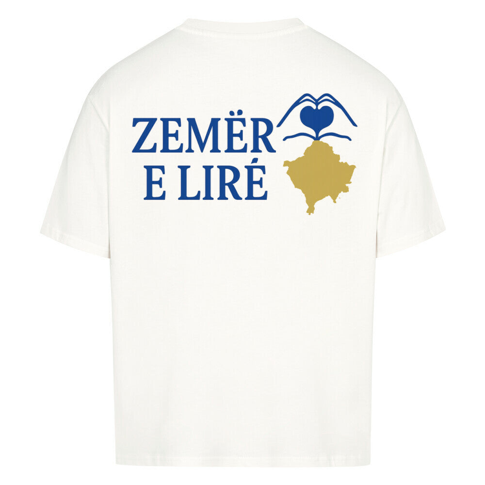 Graues oversized T-Shirt von Pelasgia mit Kosovo-Design, lockerer Schnitt und auffälligem Print auf der Vorderseite.